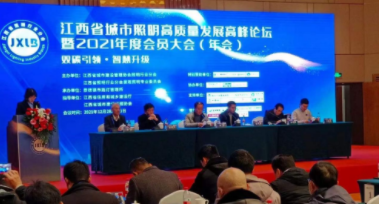 长春岳辉文艺复兴展览有限公司受邀参加江西省城市照明高质量发展高峰论坛